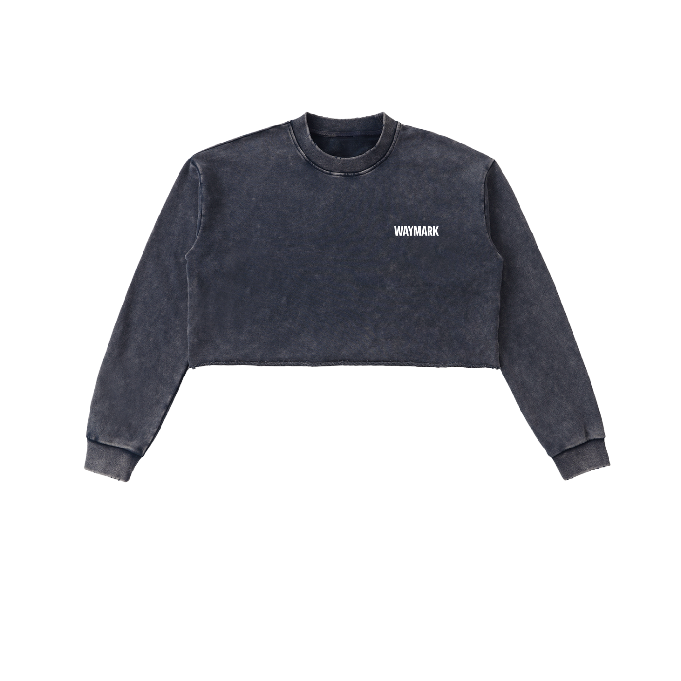 Snow Washed Raw Edge Cropped Sweatshirt